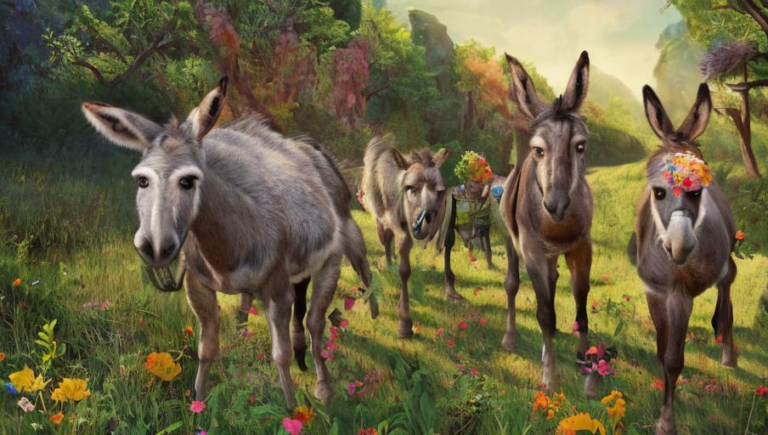 Q is for Quarrelsome: The Misunderstood Temperament of Donkeys