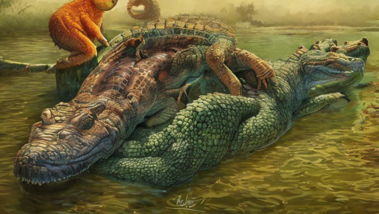 Myths and Legends about Crocodiles