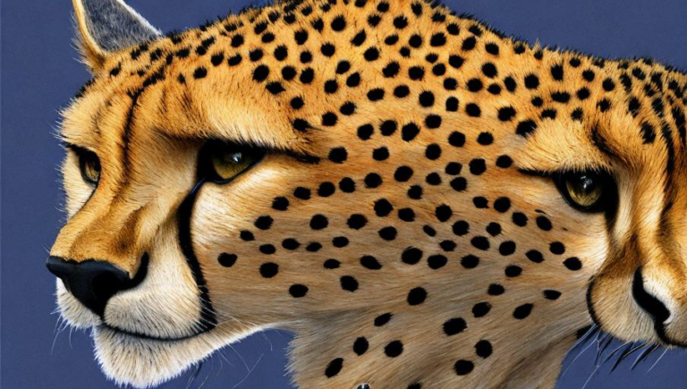 Running with the Wind: What Cheetahs Can Teach Us About Speed